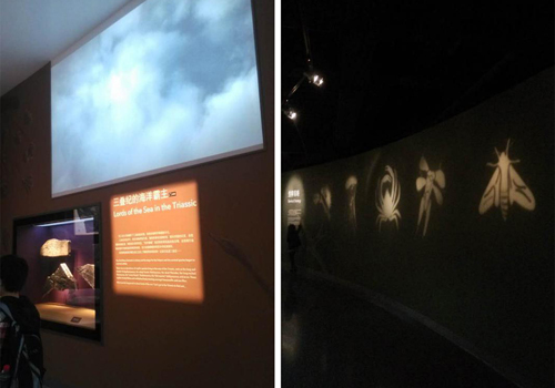 1474953860977055tGKo.jpg 14.jpg