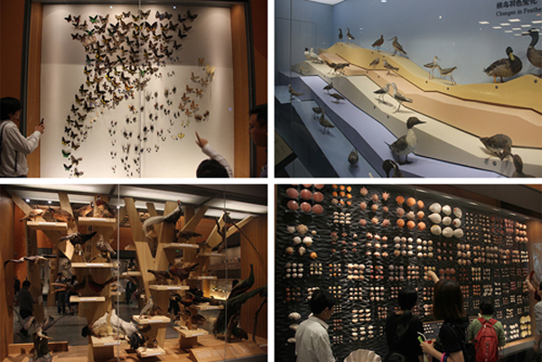 1474954065157439nZbh.jpg 21.jpg