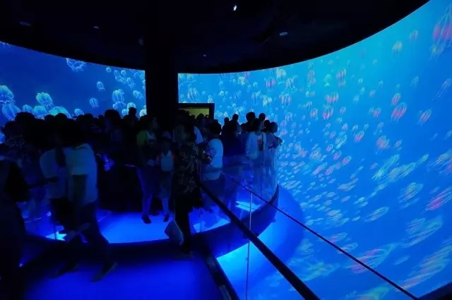 1474954292426808CXzc.jpg 640.webp (3).jpg